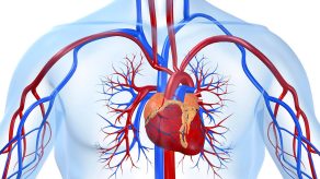 Tensioni i Lartë Para Moshës 40, Rrit Rrezikun e Problemeve të Zemrës dhe Trurit