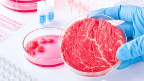 Vendi i pari në botë që miraton shitjen e mishit të viçit të rritur në laborator