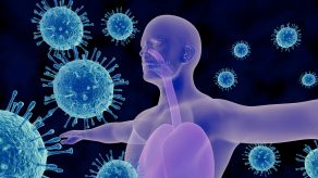 Plakja e Imunitetit - Ndikimi në Shëndetin e Organizmit