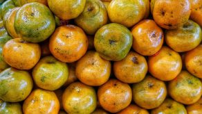 Portokallet apo Mandarinat - Cilat Janë më të Mira Kundër Virozave?
