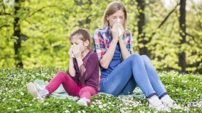 Pranvera Vjen me Alergji e Sëmundje - Çfarë i Ndodh Trupit